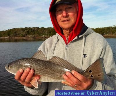 Click to Enlarge Photo