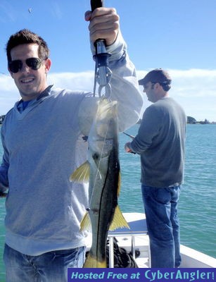 Click to Enlarge Photo