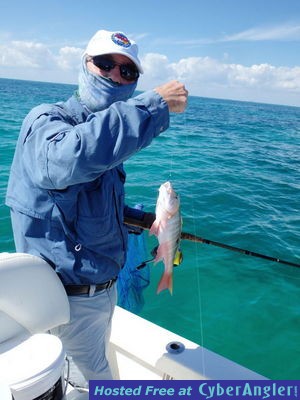 Click to Enlarge Photo