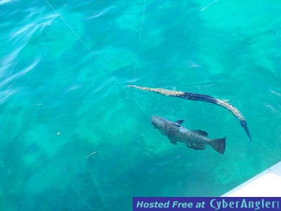 Click to Enlarge Photo