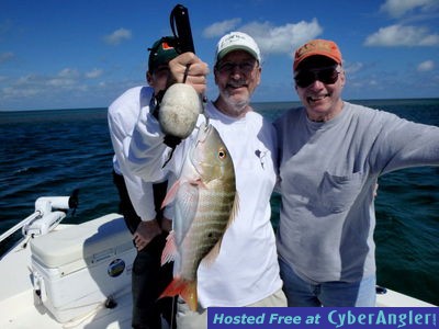 Click to Enlarge Photo