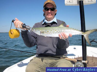Steve Garrett Sarasota Bay fly Spanish mackerel