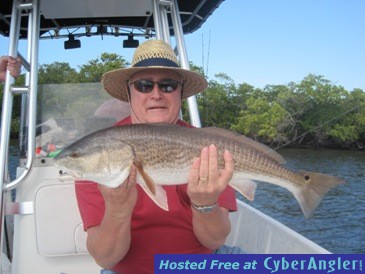 Click to Enlarge Photo