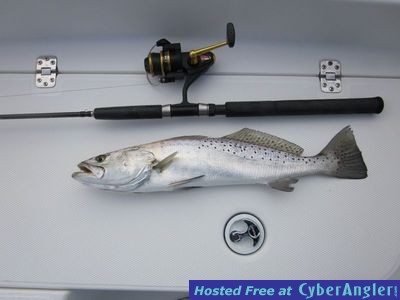 Click to Enlarge Photo