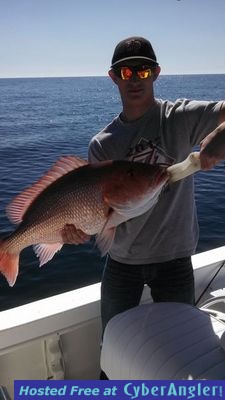 Click to Enlarge Photo