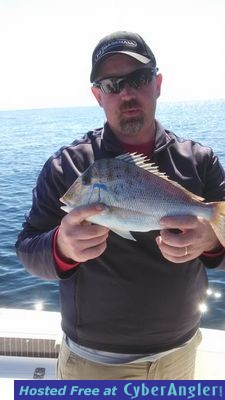 Click to Enlarge Photo