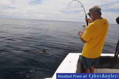 Click to Enlarge Photo