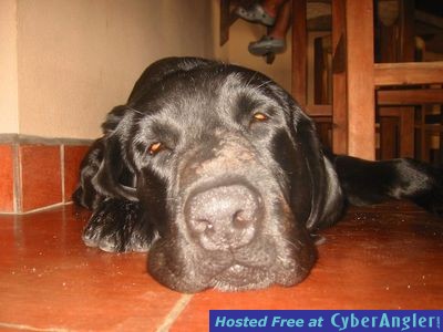 Click to Enlarge Photo