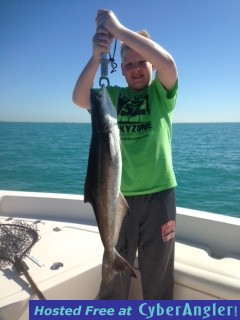 bcobia