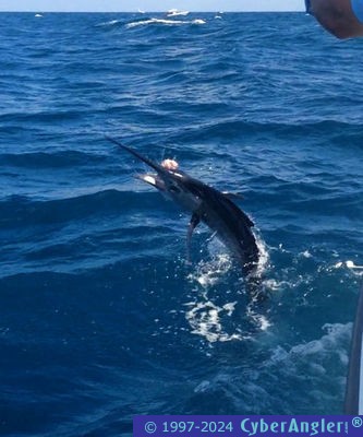 Click to Enlarge Photo