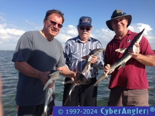 Click to Enlarge Photo