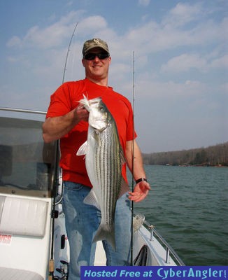 Striper on Lake Hartwell, GA