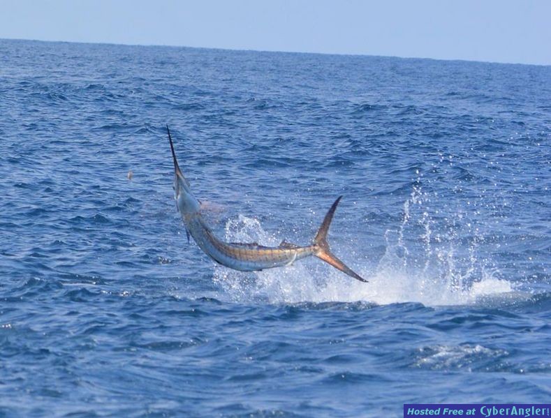 Costa Rica Fishing for Sailfish
