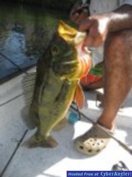 Miami Fresh Water Fishing