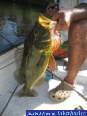 Click to Enlarge Photo