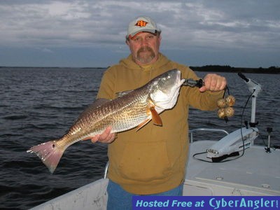 Click to Enlarge Photo