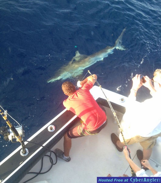 Miami Shark Fishing