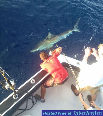 Miami Shark Fishing