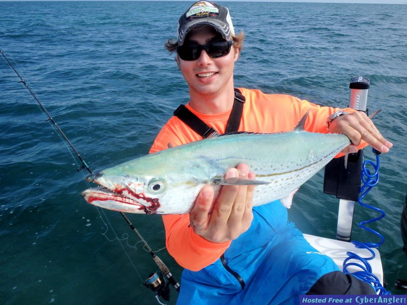 Cero_n_Mustad_Ultra_Point_hook