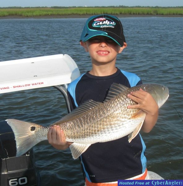 Bid reds prowling the Low Country!