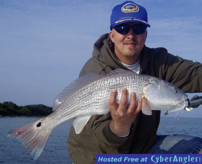 Click to Enlarge Photo