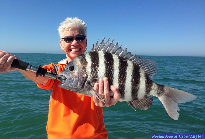 Monica_s_Sheepshead