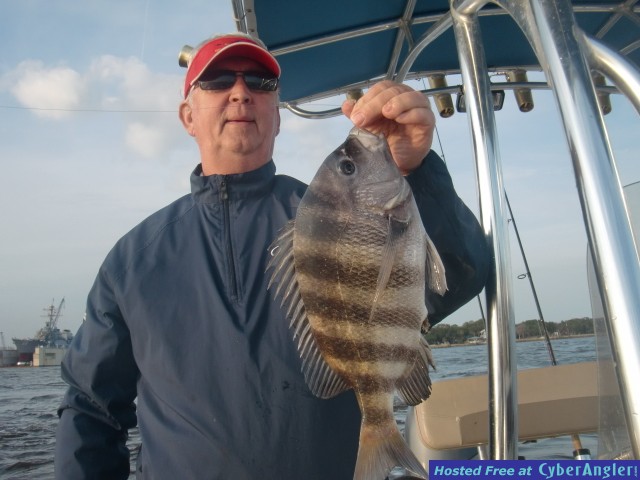 sheepshead