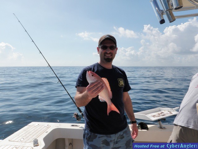 Vermillion snapper