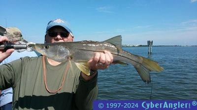 Click to Enlarge Photo