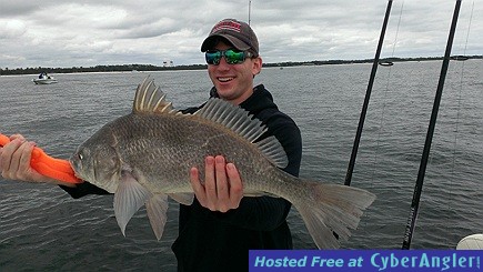 Black Drum
