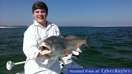 redfish