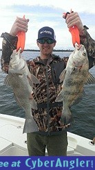 Double Black Drum