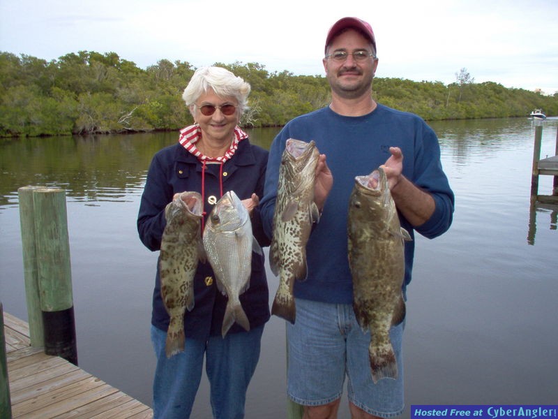 gag grouper trio and a porgie