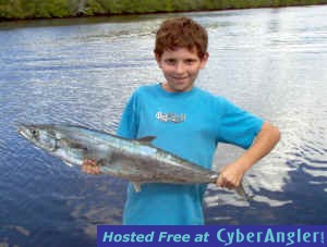 Cody-37inch-king