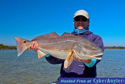 redfish-on-fly-tampa