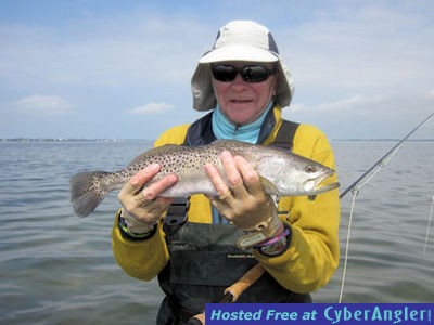 Click to Enlarge Photo