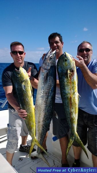 Click to Enlarge Photo