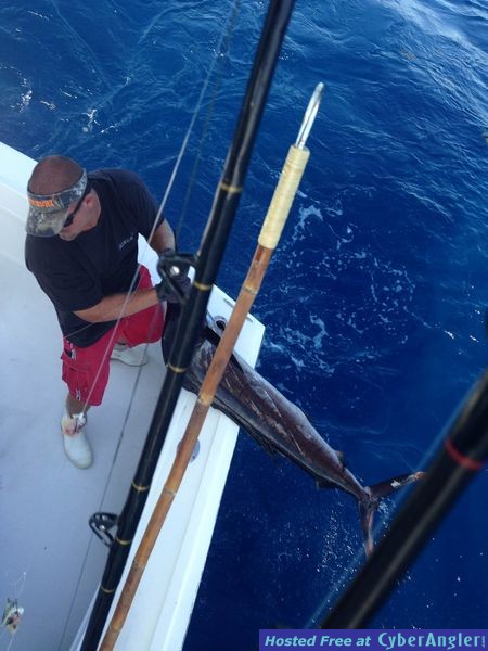 sailfish_chris_2_
