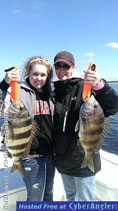 Sheepshead