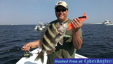 Sheepshead