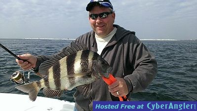 Sheepshead