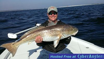 43&quot; Redfish