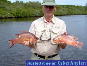 AlbertTroutman-14in-hogs-pair