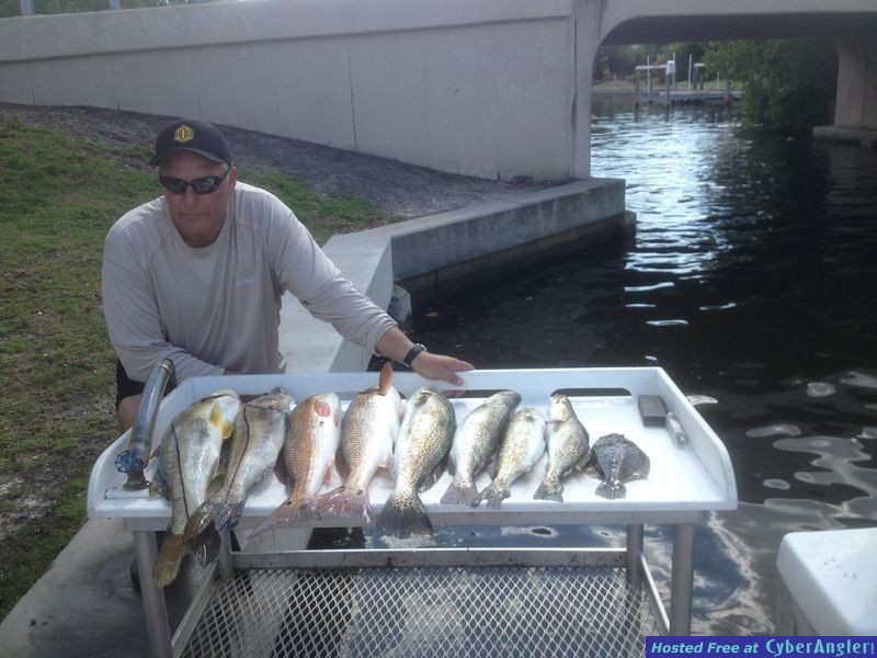 Fishy Business LLC