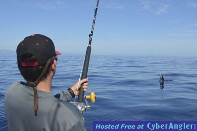 Click to Enlarge Photo