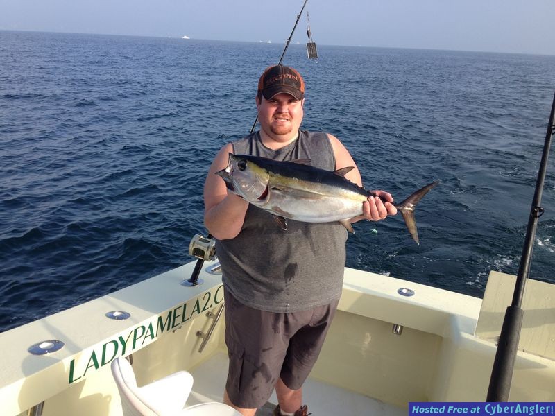 Click to Enlarge Photo