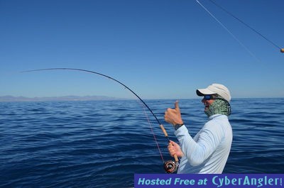 Click to Enlarge Photo