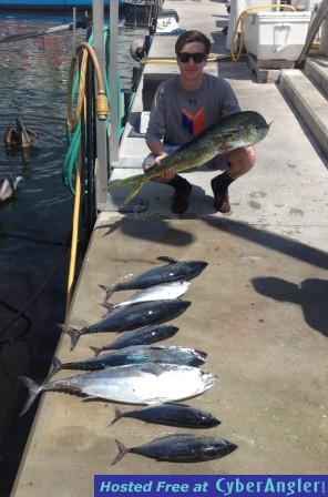 Click to Enlarge Photo