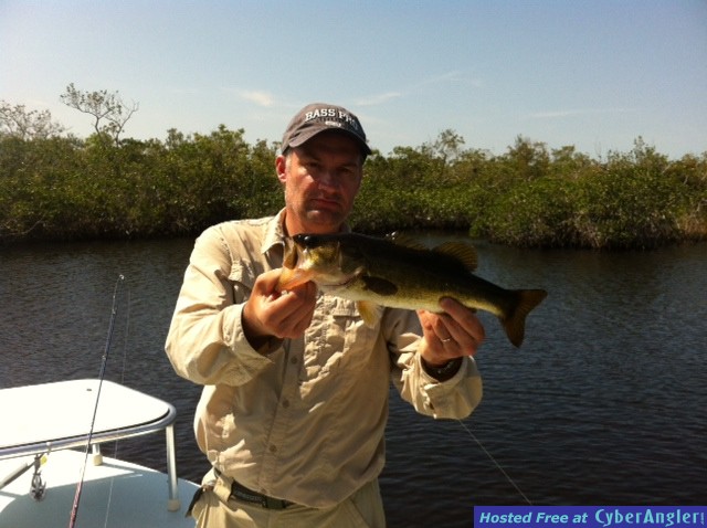 Bass_1