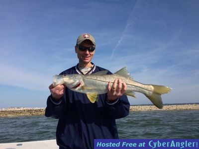 Click to Enlarge Photo